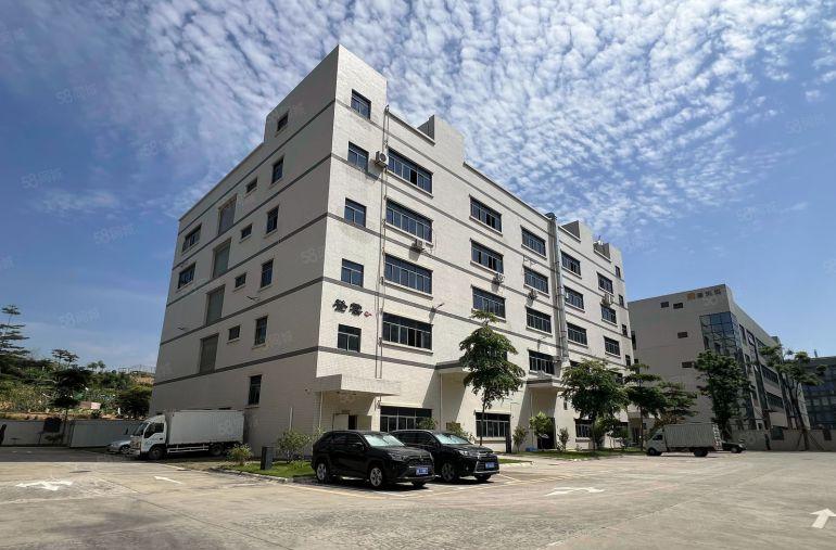 14元易招工带红本村委直租坪山高新产业园500平仓库厂房出租