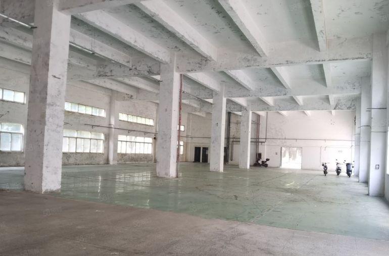 坪山碧岭工业区红本独院厂房960平出租层高6米易招工场地大