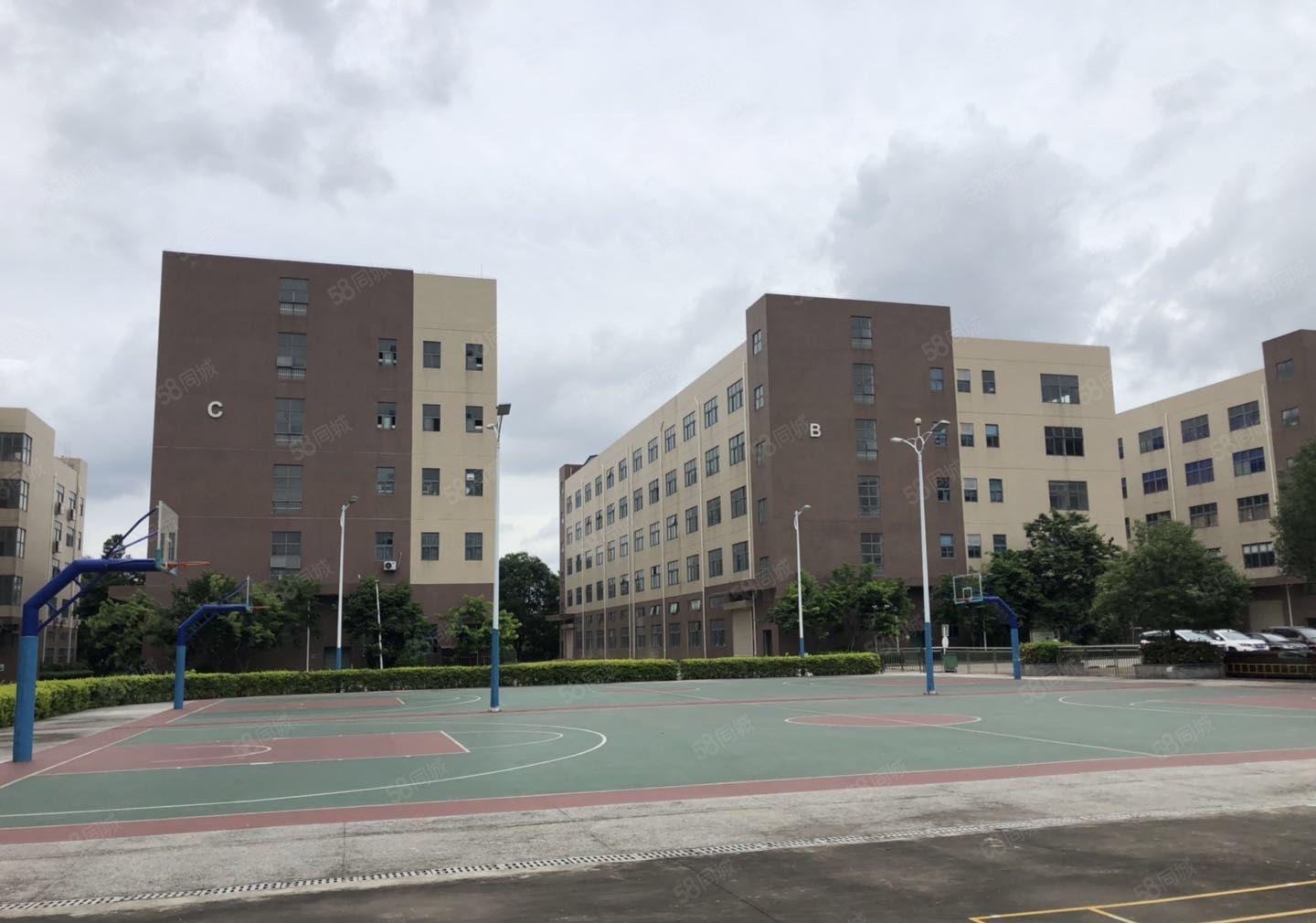 合同8年免租期60天坪山工业区新出2楼3000平厂房仓库招租