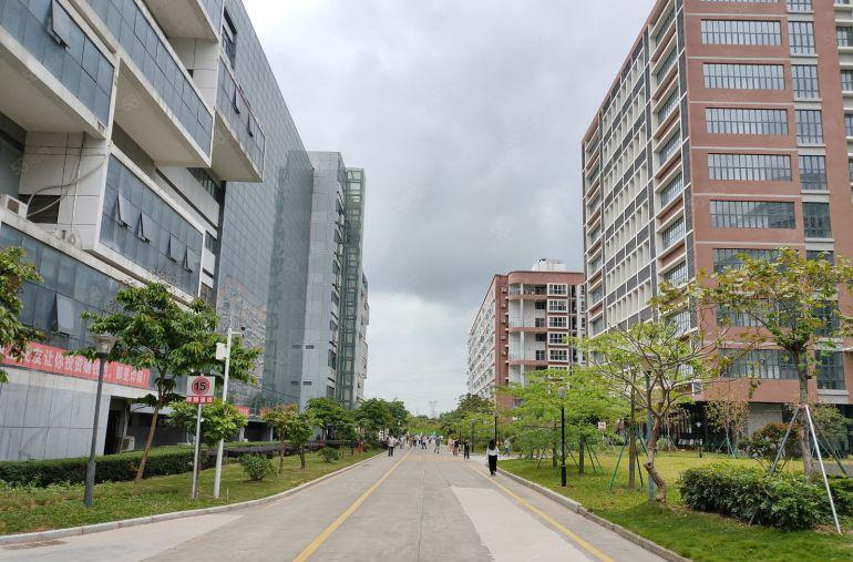 坪山坑梓原房东大型科技园楼上500平带精装办公室仓库厂房出租