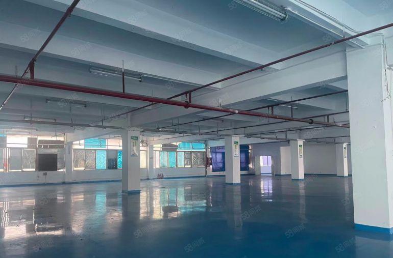 20元 坪山高新科技园精装办公室仓库厂房出租20000平分租