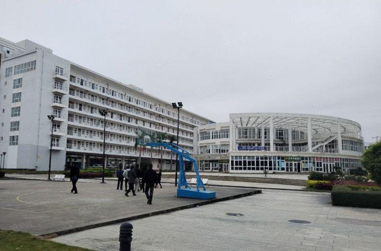 坪山区原房东红本30000平标准厂房出租，大小可分租