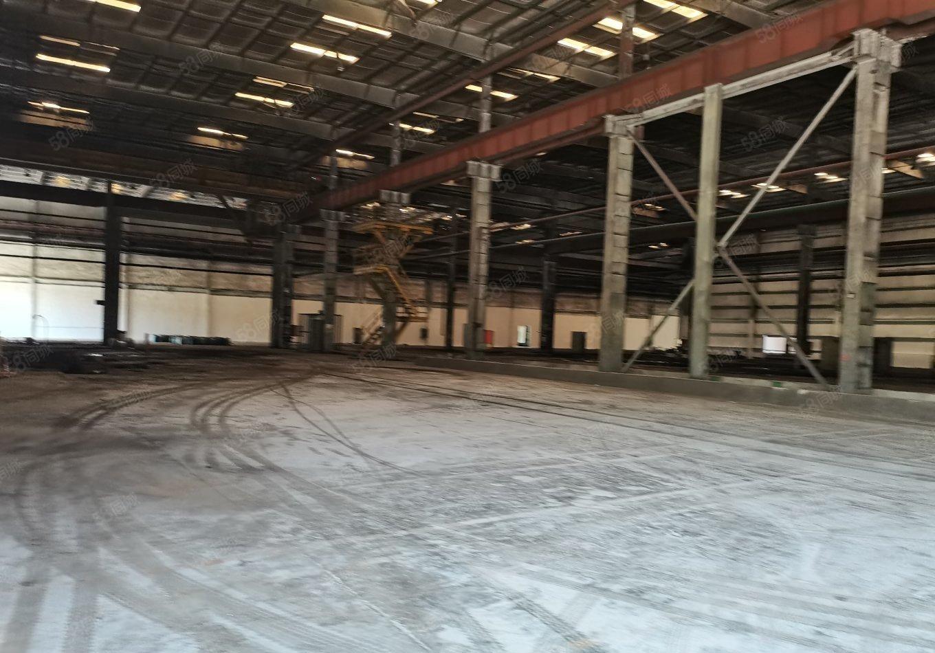 超大空地原房东红本钢构14米层高60000平2000平起分