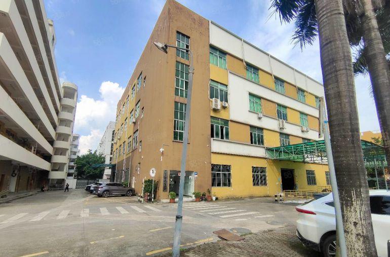 坪山坑梓原房东实际面积1000平起厂房仓库出租好招工靠近地铁