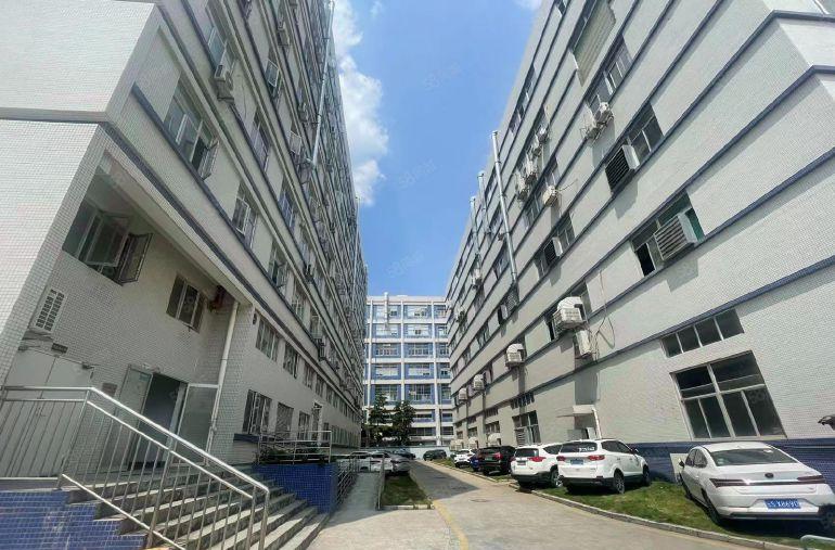 坪山大工业区300平开发商楼上厂房尾盘直租，现成装修办公室