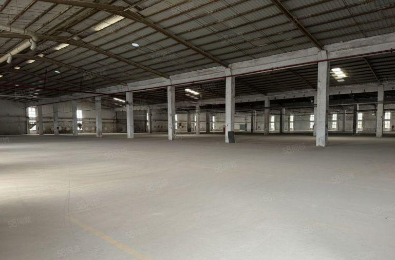 坪山外环原房东独院钢构厂房9米高钢构实际面积出租3000平