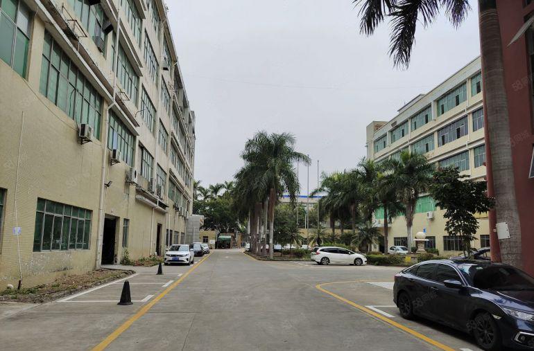 坪山坑梓外环高速旁3楼1000平带精装办公厂房仓库低价出租