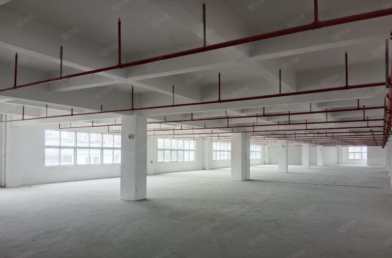 1000平方起分组坪山漂亮园区红本消防喷淋精装修配套成熟齐全