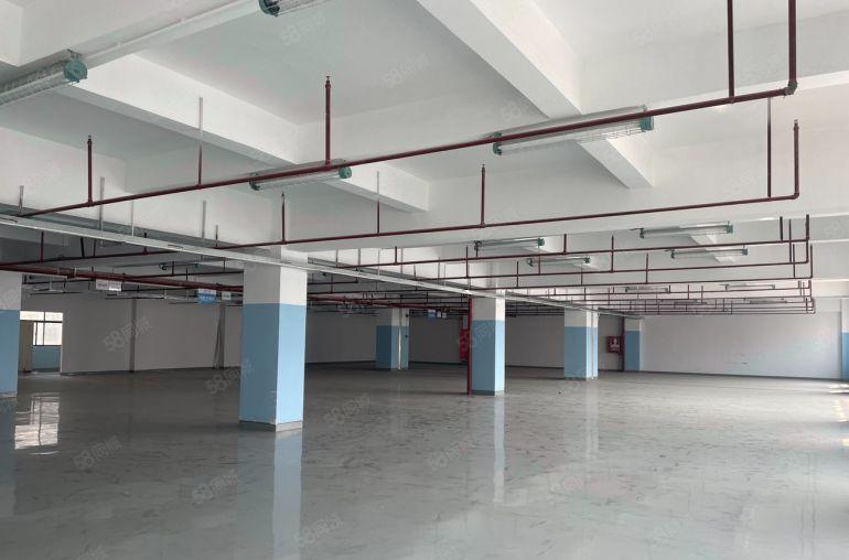 坪山小面积厂房出租300平500平800平1000任意分割