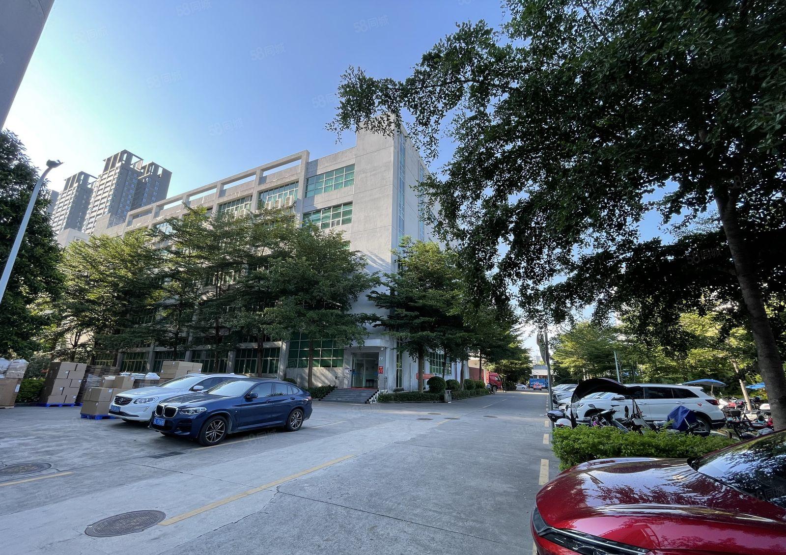 坪山坑梓科技园新出楼上1300平精装带地坪漆办公仓库厂房出租