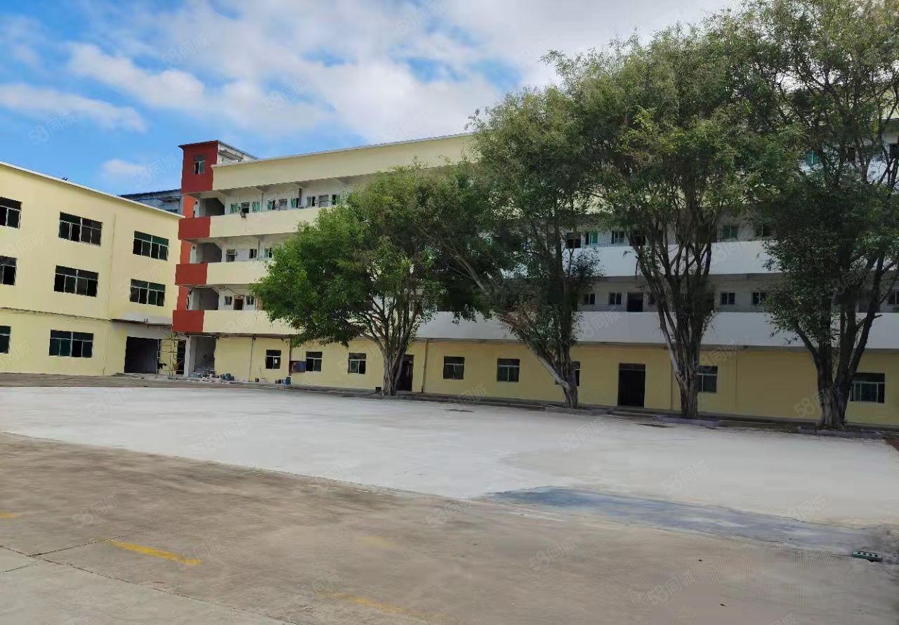 合同十年！坪山丹梓大道旁原房东独院厂房仓库10000平出租