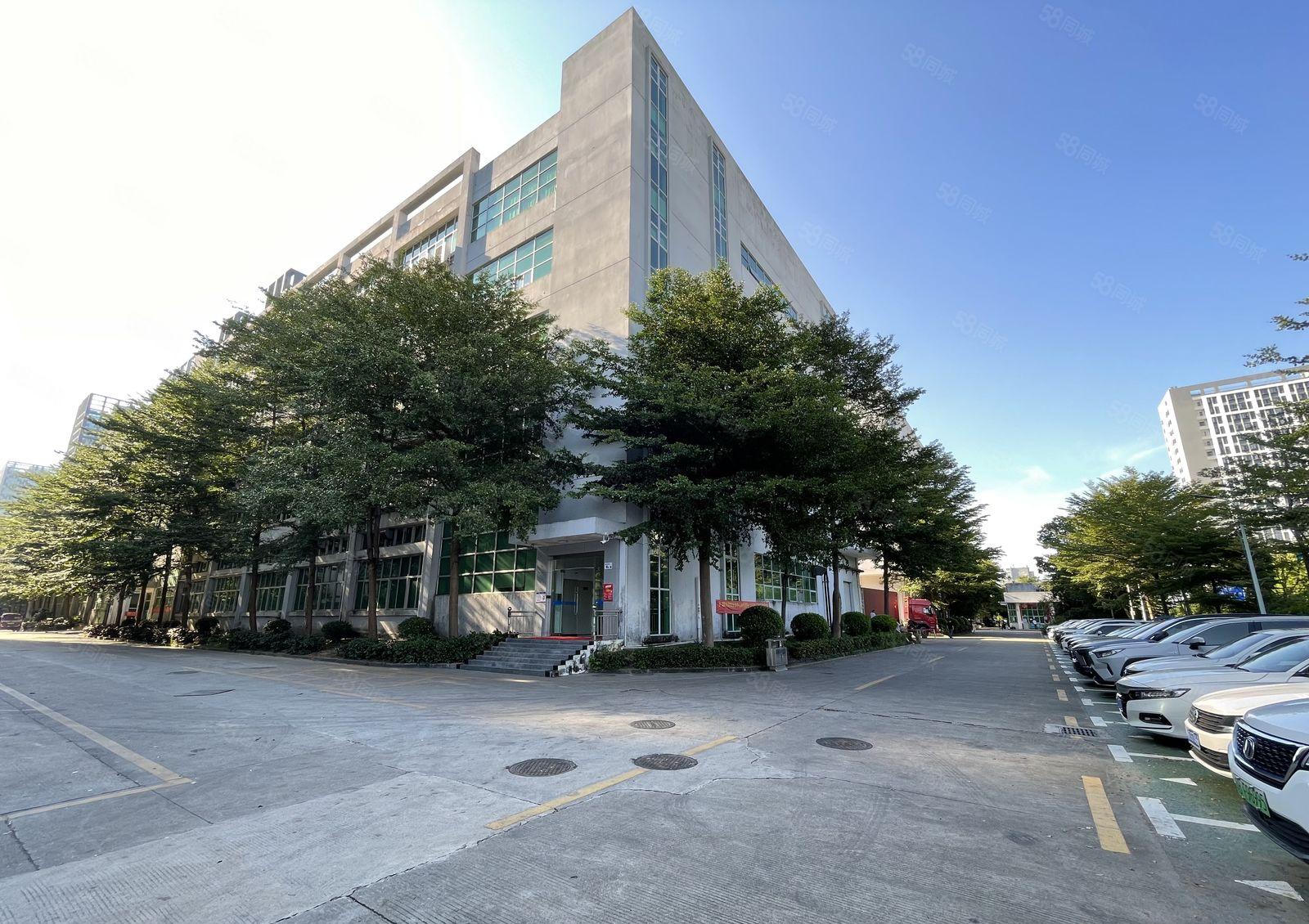 全新装修！大工业区原房东园区新空出3楼整层1500平厂房出租