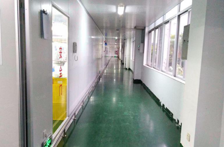 坪山锦龙大道红本厂房整租可分租510平方米十万级洁净车间