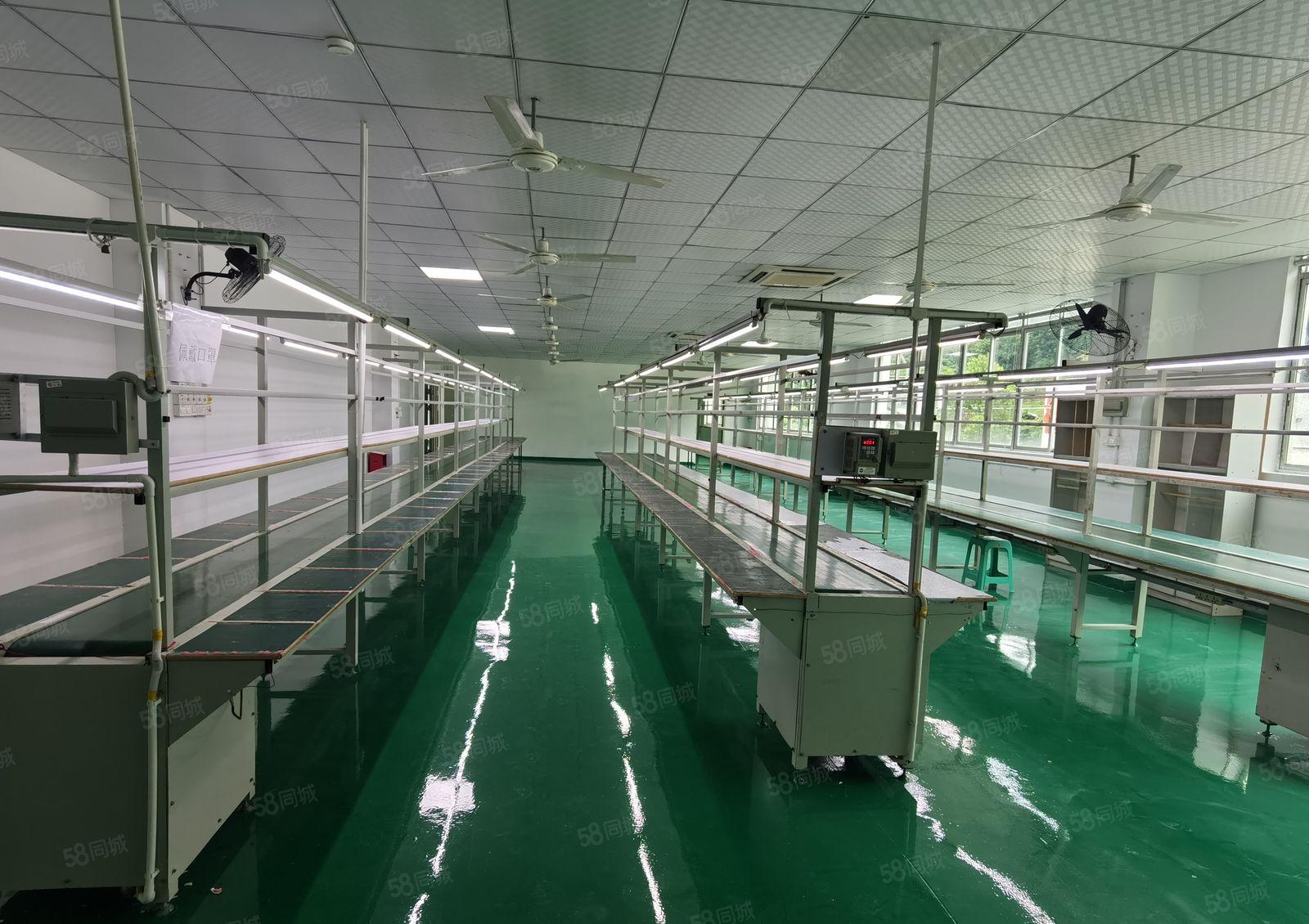 坪山燕子岭原房东楼上1100平带精装修仓库厂房出租可办公