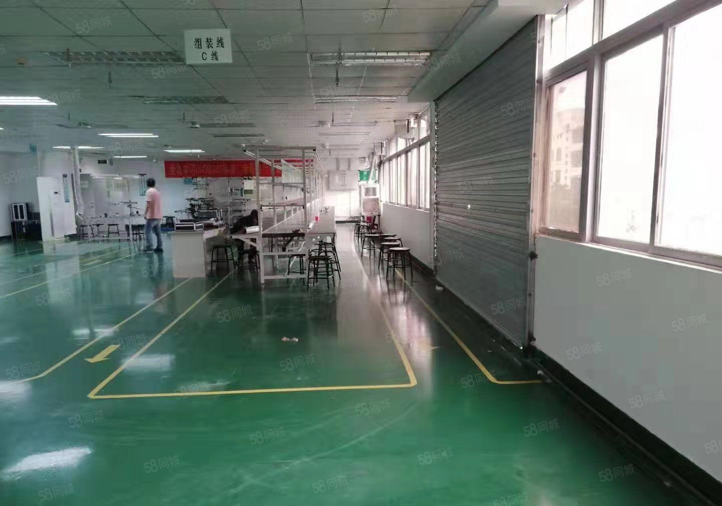 南坪三期高速出口坪山天虹商场附近红本厂房电商办公仓库500平