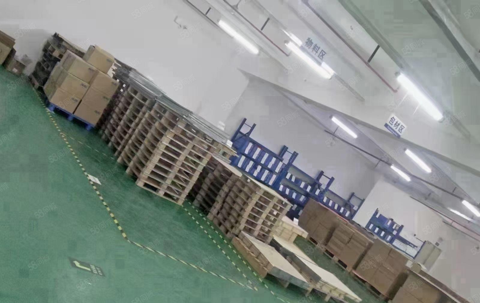 坪山新出精装俢二楼厂房1480平方出租，无公摊