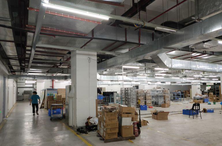 坪山高新区，大型科技园一楼4200平楼上10500平米