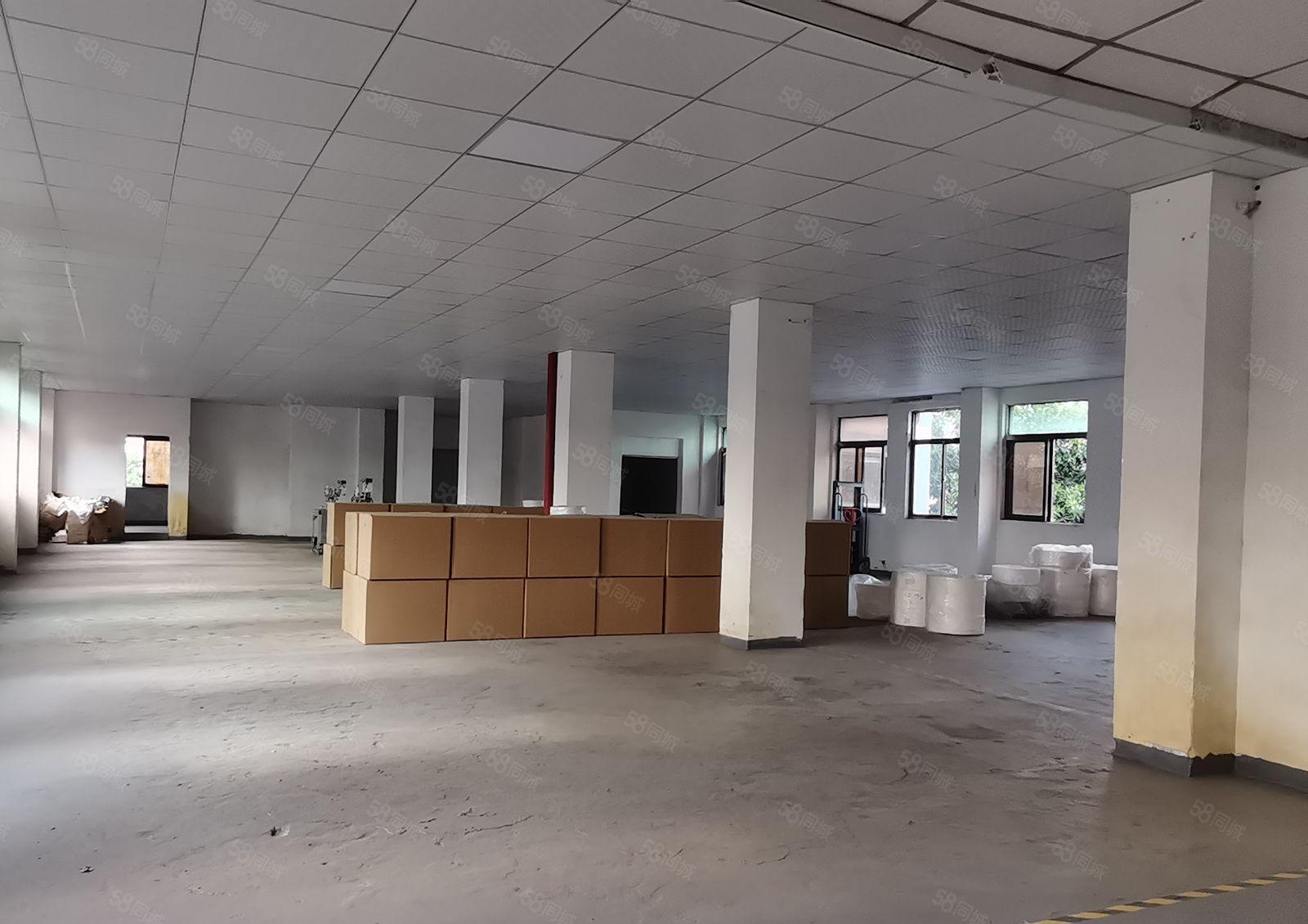 打包价7000元坪山坑梓比亚迪二期附近独院新空出4楼400平