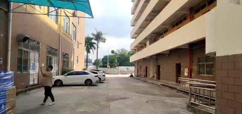 坪山坑梓原房东实际面积1000平起厂房仓库出租好招工靠近地铁