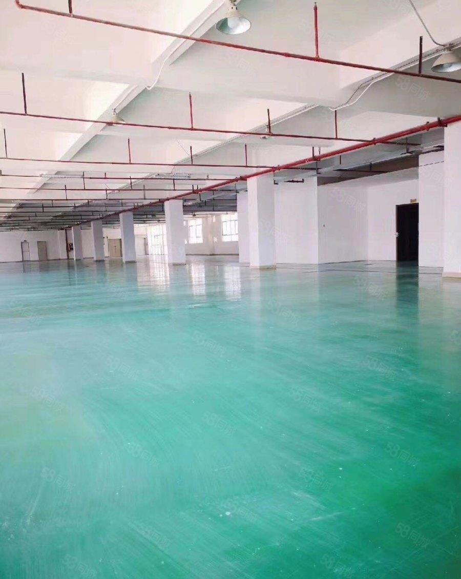 3个月免租期！坪山高新医疗产业园研发办公厂房出租可拿高新补贴