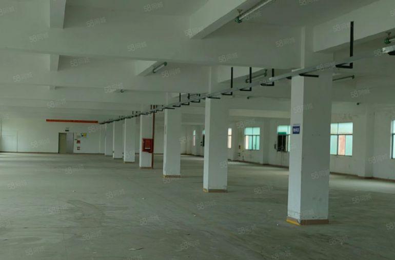 坑梓独院整栋厂房宿舍大路边高速旁付五层宿舍