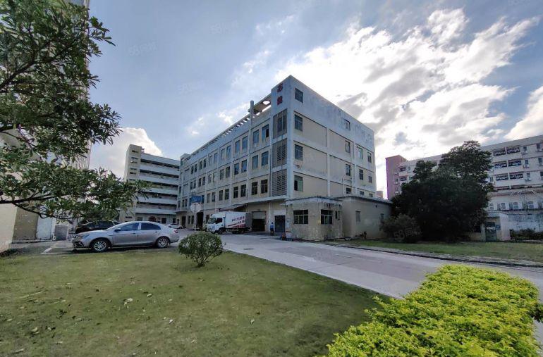 坪山大工业产业园红本独院10000平带装修办公室厂房出租