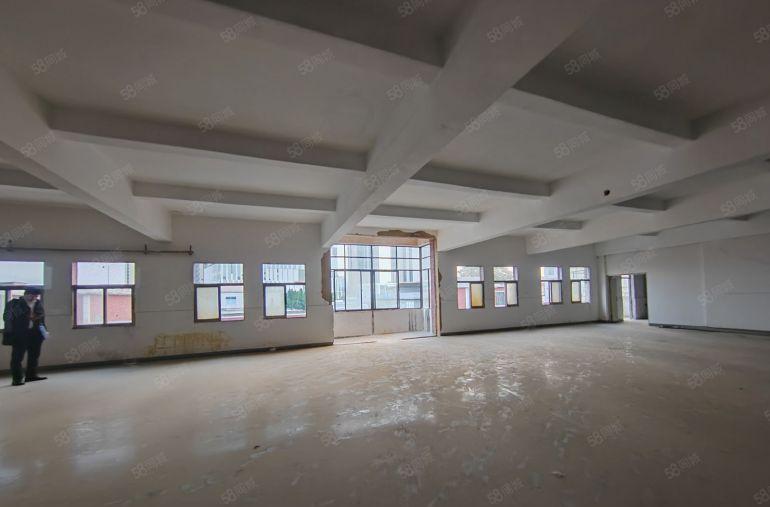 1000平方一层龙田街道全新标准厂房出租性价比高停车免费