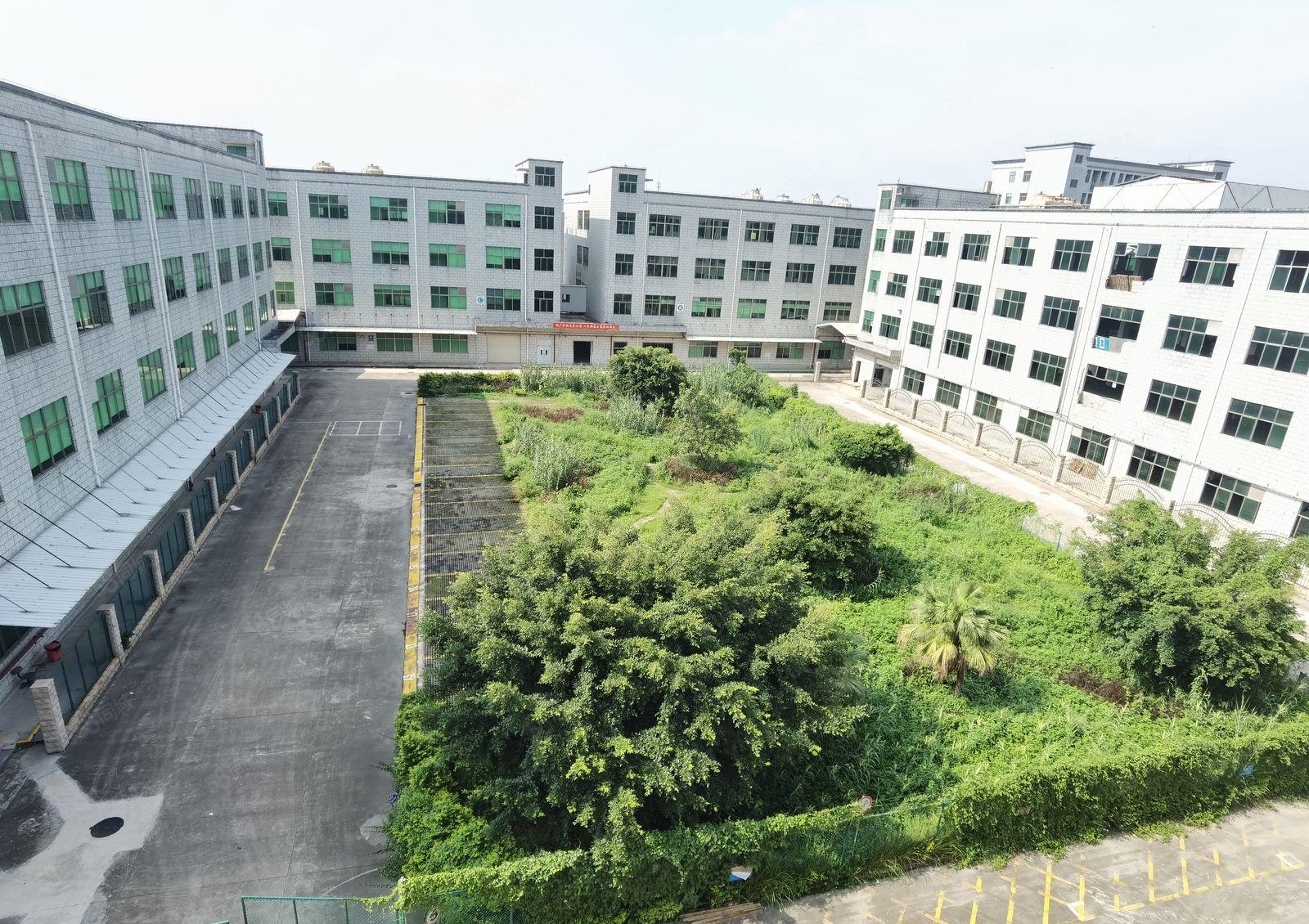 500平起分租，坪山5万平工业园厂房仓库出租，带装修合同8年