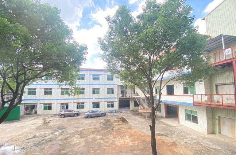 实际面积地铁口独门独院低价厂房出租厂房仓库出租一楼厂房可分租