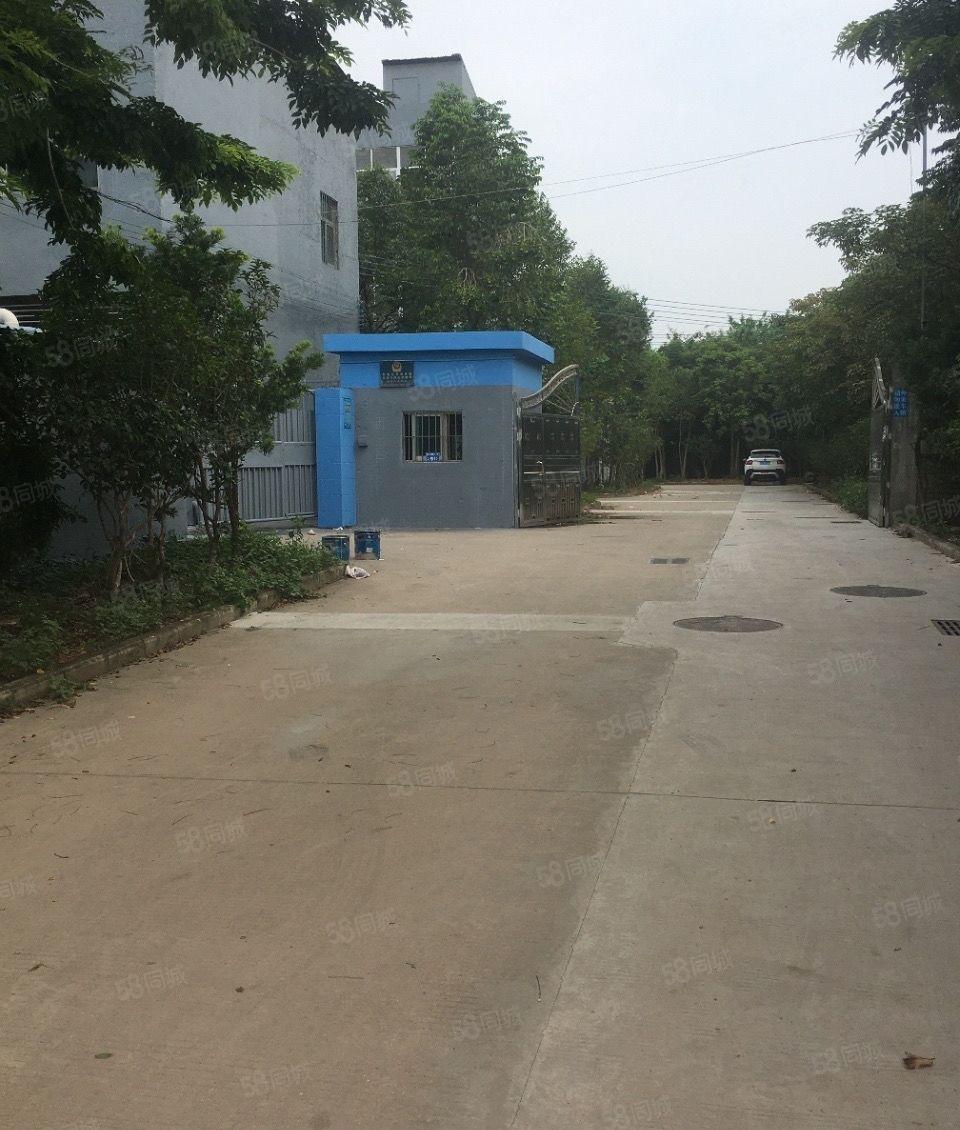 新出别墅式独院标准厂房23元平先到先得，深圳坪山坑梓街道