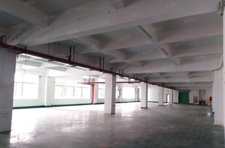 坪山碧岭沙湖标准厂房750平方米可生产研发办公电商贸易加工