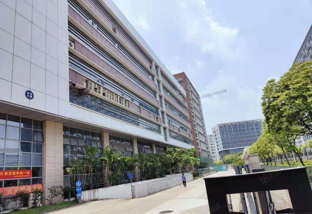 100起分坪山高铁电梯口精装可带家私电商办公厂房出租500平