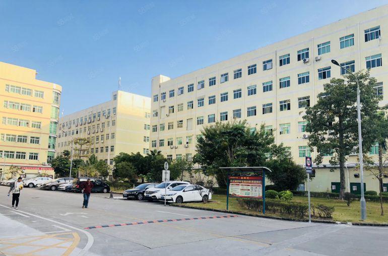 坪山石井原房东科技园新出楼上1000平带精装办公仓库厂房出租