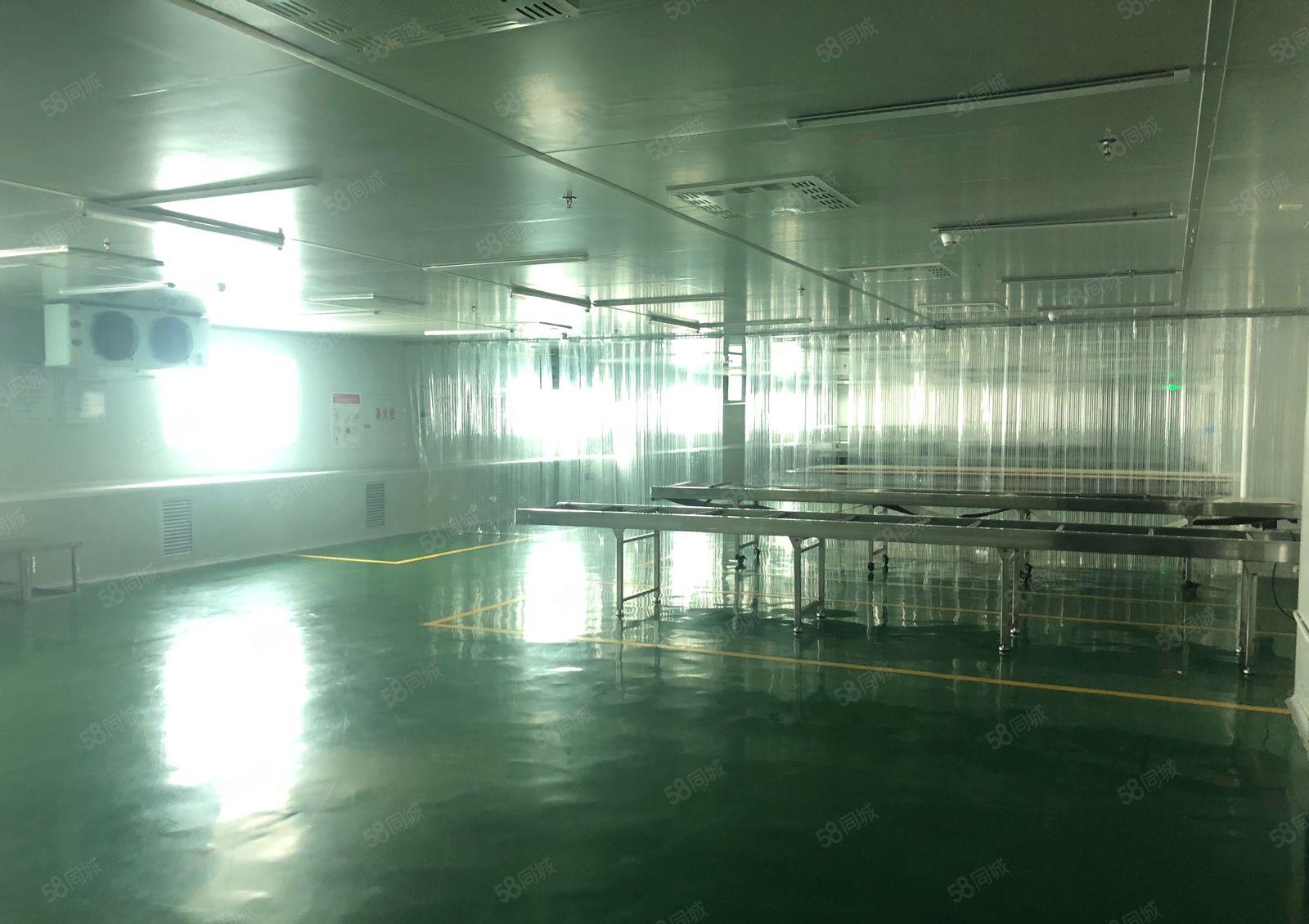 深圳20块一平无尘车间带冷冻库5400平食品加工独院厂房出租