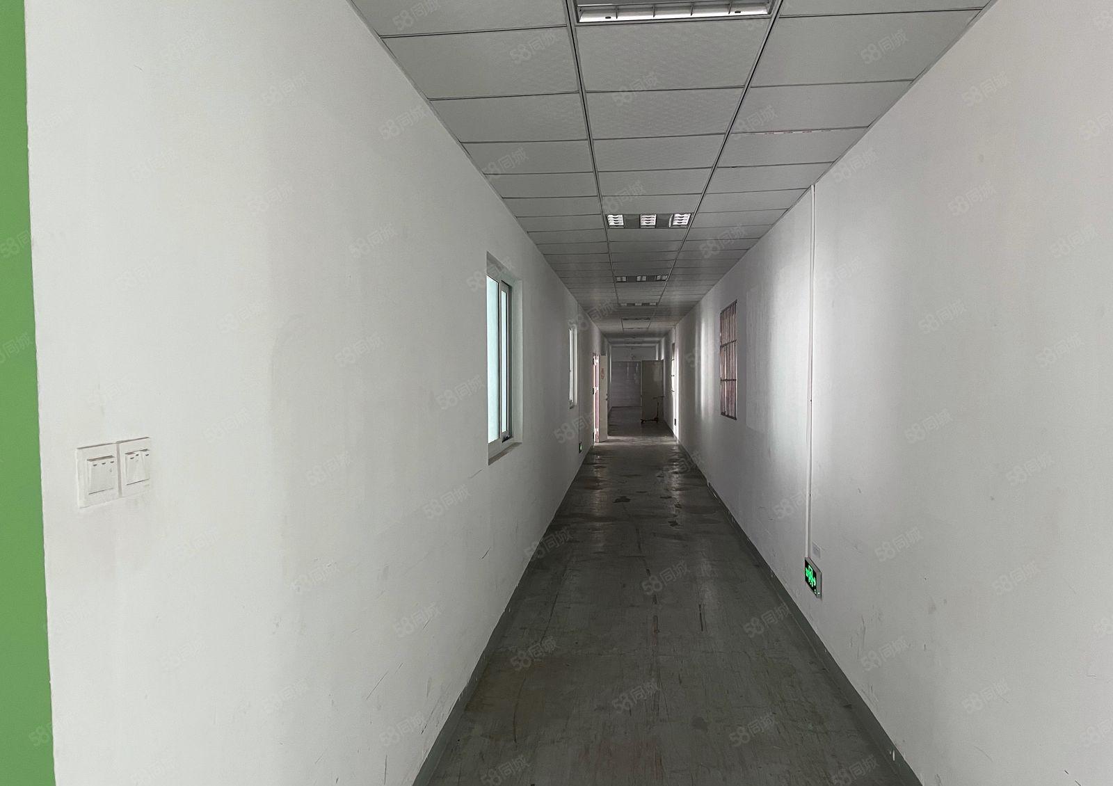 南山西丽地铁口 300至600平办公仓库特价直租