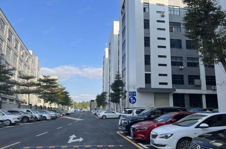 南山工信局补贴园区 面积100~300~1000~2000平