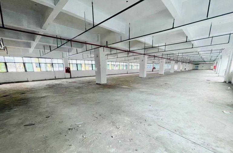 坂田厂房出租300至5000平自由组合，适合办公，生产都可以