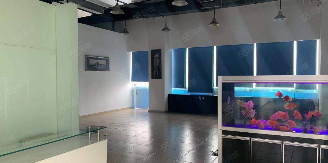 蛇口海上世界一楼769平临街商铺展厅，教育，摄影，直播