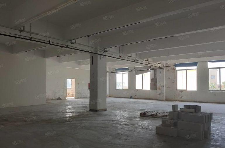 西丽工业区厂房200至3000平可分租适合生产办公仓库等行业