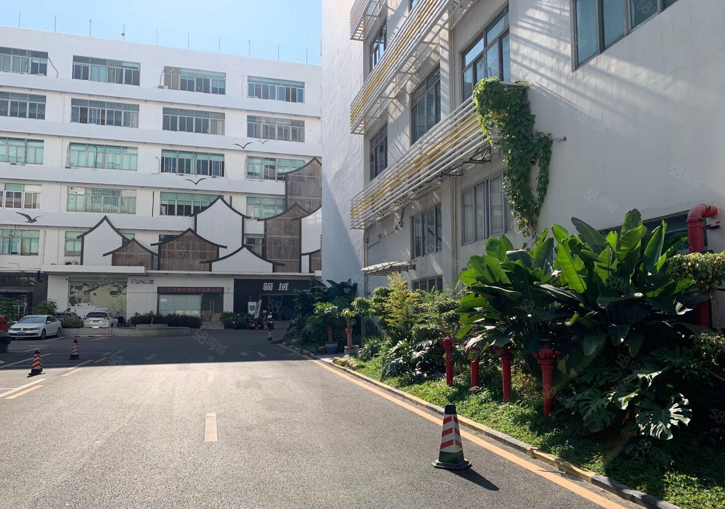 南山西丽文化园300，800平精装修装修，一房东直租