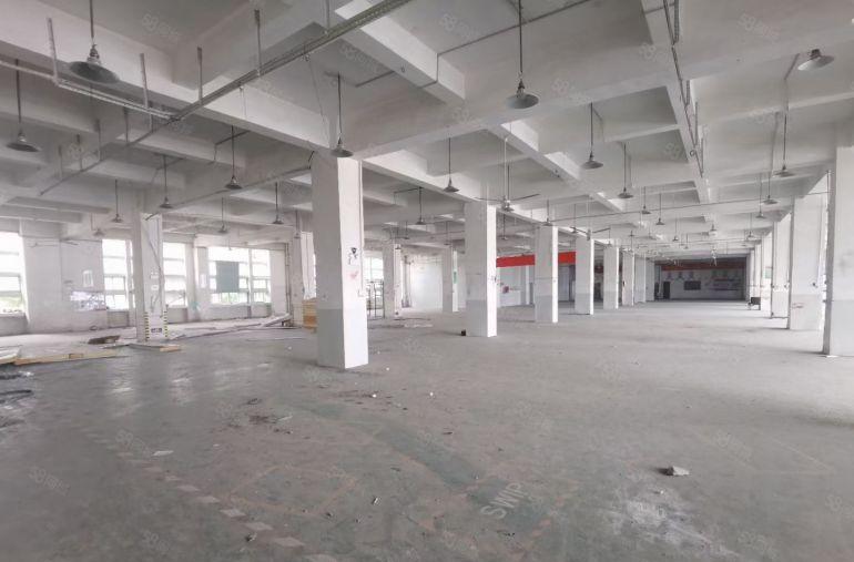 高新科技园区1楼和2楼厂房单层面积8000平方，可分租