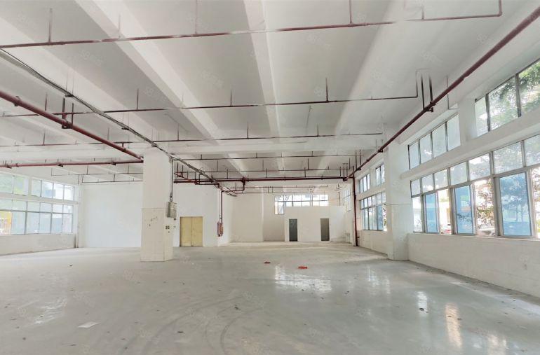 东莞物流园仓库一楼1500平超大空地办公厂房出租带卸货平台