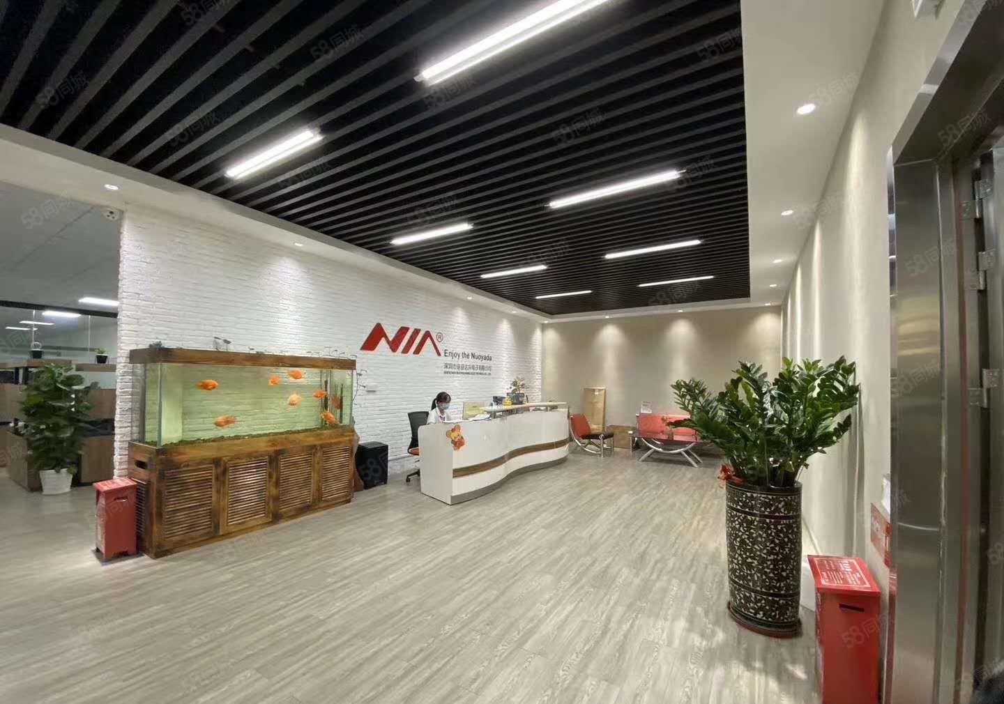 原房东！横岗新出5000平，可分租可办环评，厂房仓库低价出租