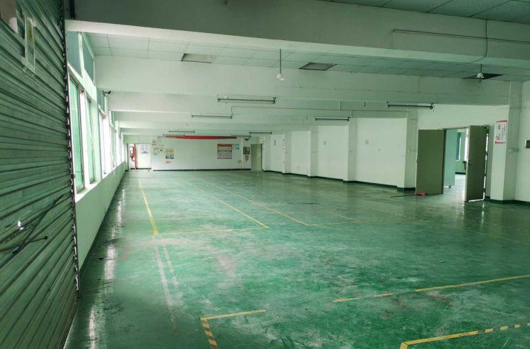 靠近清湖厂房低价招租  独门独院 二楼带装修1150平起