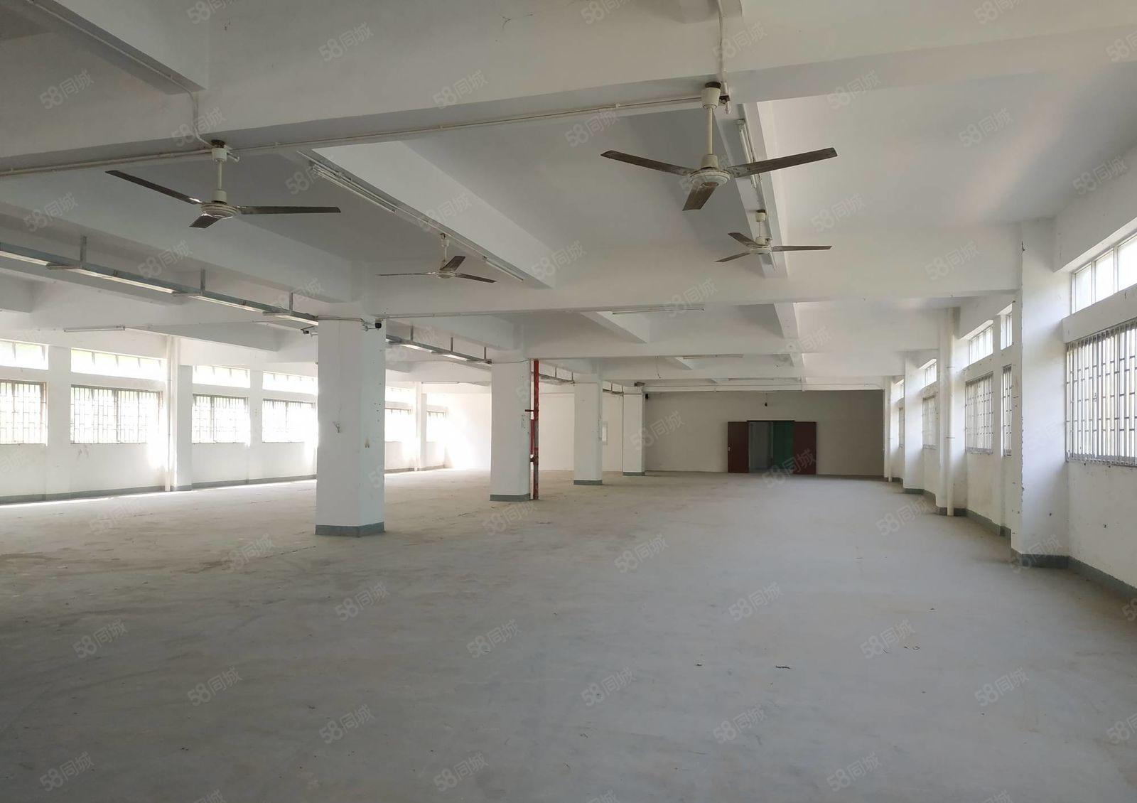 南山西丽 大磡工业区新出1500平厂房直租 带卸货平台