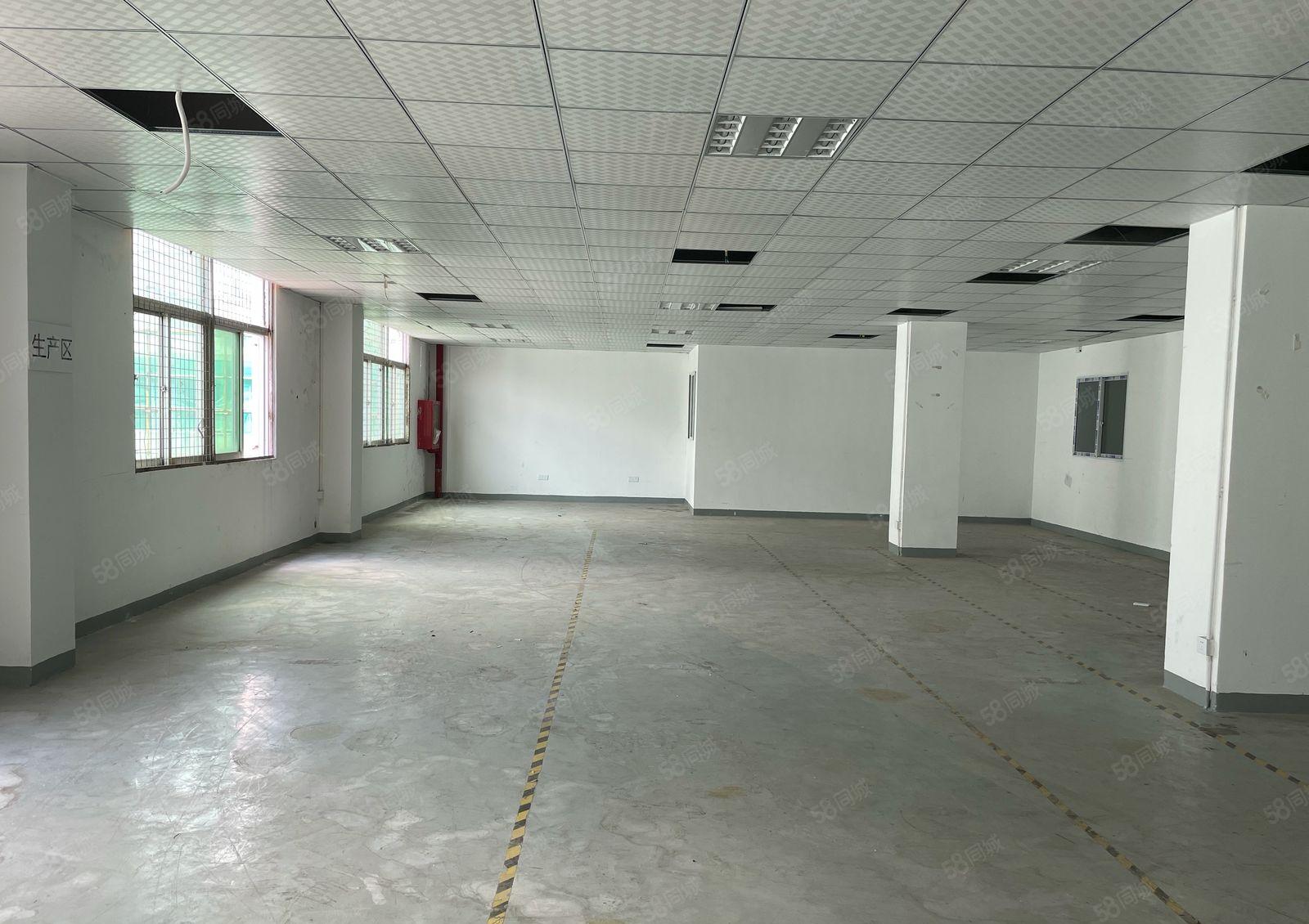 南山西丽地铁口 300至600平办公仓库特价直租