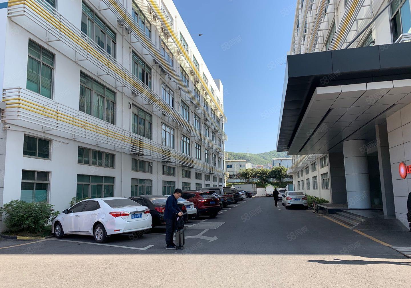 南山西丽文化园300，800平精装修装修，一房东直租