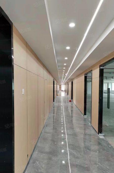 罗湖北站地铁口原房东红本办公厂房，精装修可定制