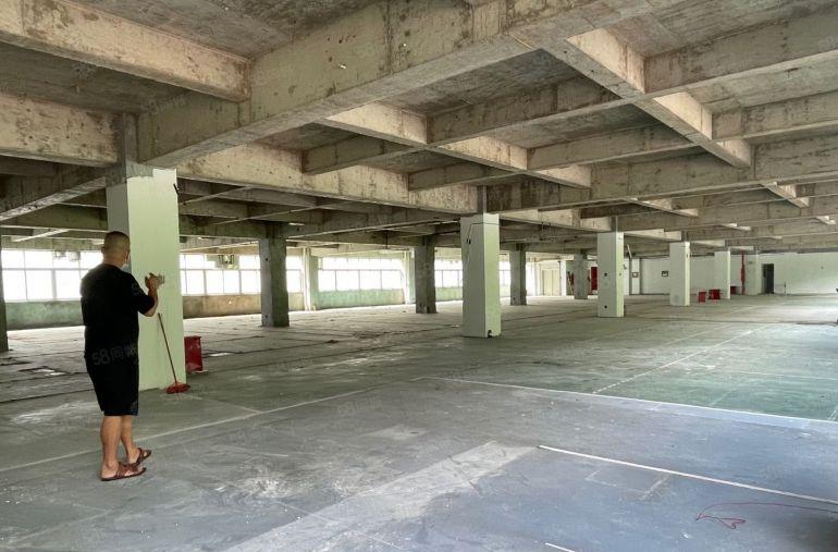 稀有房源！盐田东海道旁边红本厂房2000平出租园区形象非常好