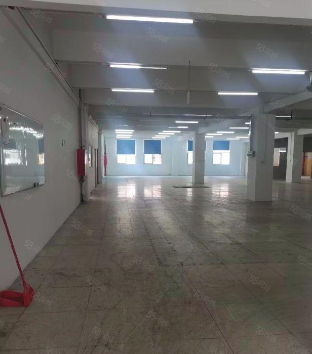 西丽阳光工业区伟豪科技园900平业主直租，办公室厂房研发